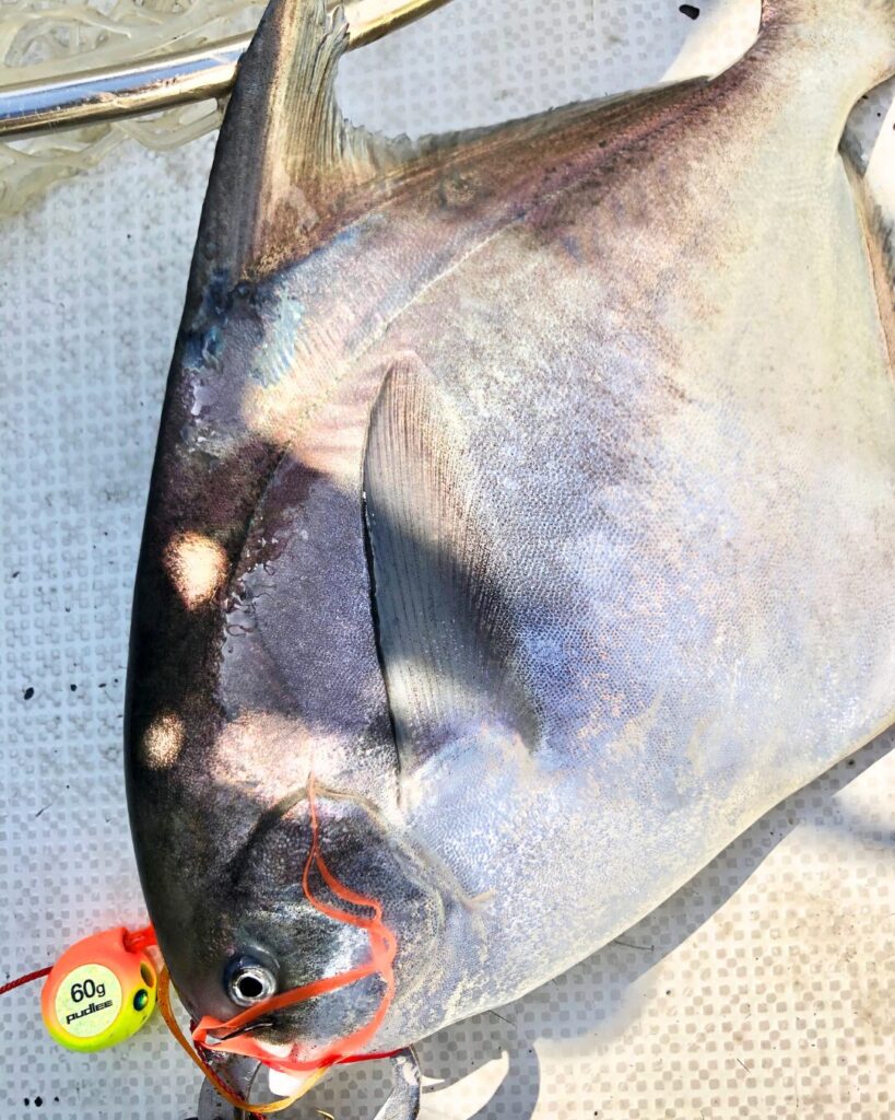 北九州・関門の遊漁船FOLK IN ONの船上でタイラバJETで釣り上げられたマナガツオ