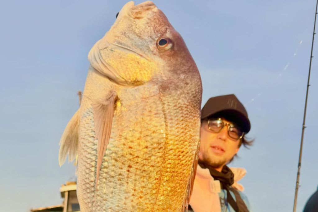 夕暮れに７０cm大鯛を釣ったお客様