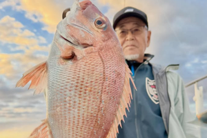 タイラバのネクタイ選びで釣れた関門海峡の良型マダイ